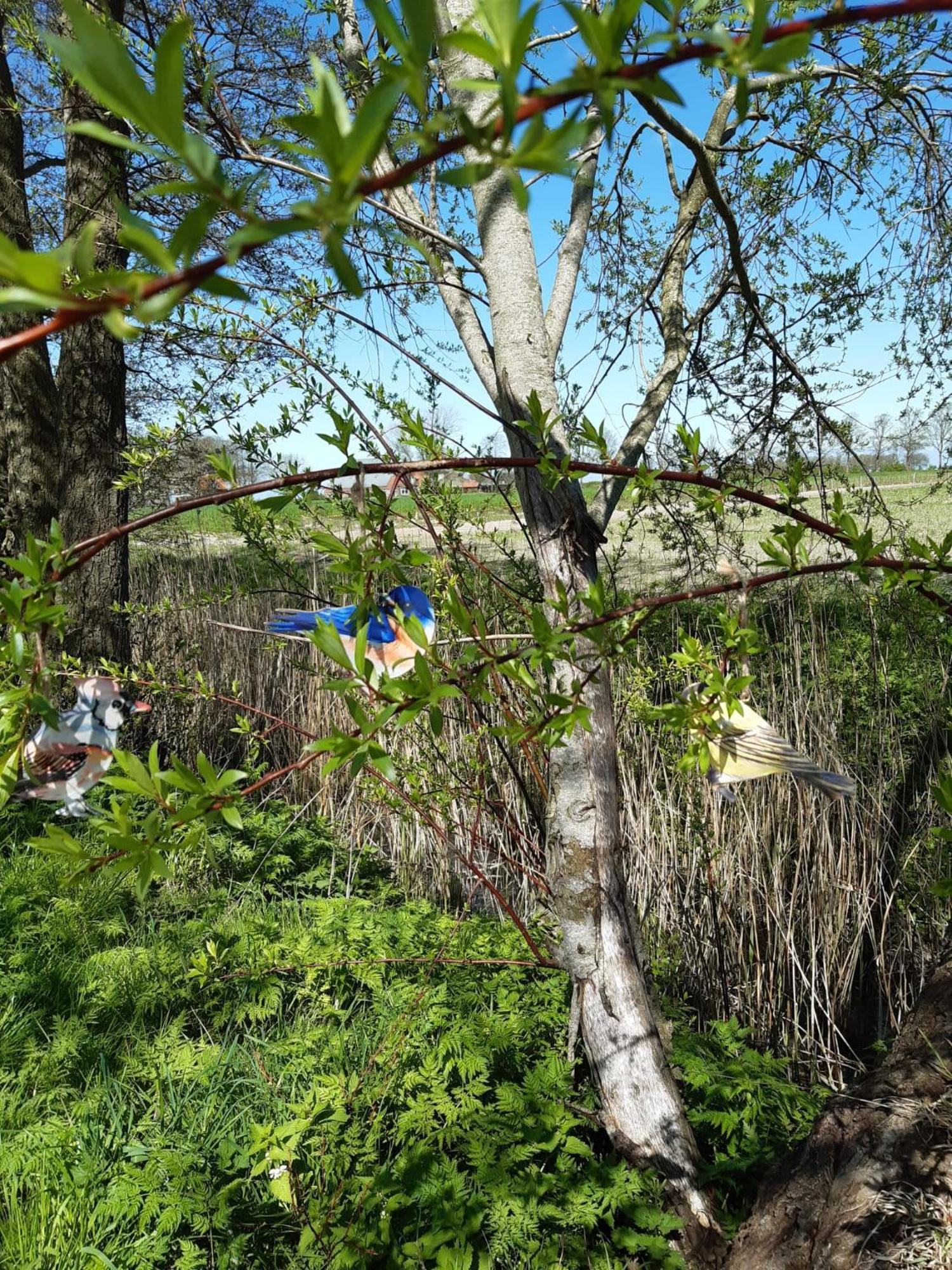 B&B Weidse Blik Ingelum Engelum Zewnętrze zdjęcie